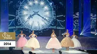 Miss France 2014 - Les 5 finalistes
