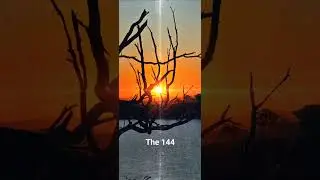 The 144