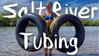 Salt River Tubing + Paddle Boarding | You Won't Guess What Happened To The Horses