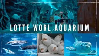 Seoul Lotte World Aquarium - Musicvideo Tour (+gift shop)