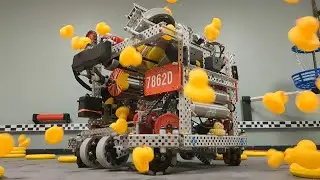 7862D - Chad - Winter Reveal
