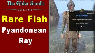 How to Catch Rare Fish - Pyandonean Ray in Khenarthi's Roost Angler ? ESO Guide (2023)