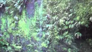 Amber Mountain sacred waterfall