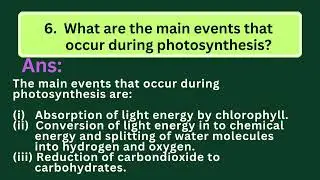 Priya's Mastery Hub: CBSE Class X Biology Chapter 5 Life Processes (MALAYALAM) Part-2