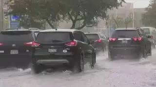 Local 4 News at Noon -- July 16, 2021