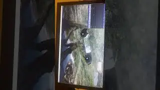 Hilarious Mishap: Police Car Gets Stuck on a Tree in GTA V!