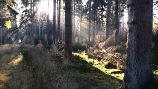 TRAILER: 