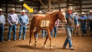Rejected Horse Was Sold for $1 at Auction — But No One Expected What Happened Next !