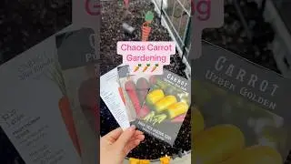Trying chaos gardening with 3 types of carrots and beets #happygardening #gardenshorts
