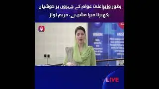 Марьям Наваз | Главный министр | Пенджаб | Благосостояние населения | Миссия счастья | APP