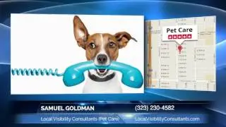 Samuel Goldman Of Local Visibility Consultants (Pet Care): Incredible Recommendations On How To...