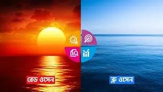 Red Ocean and Blue Ocean Strategy Explained in Bangla | রেড ওসেন এবং ব্লু ওসেন কি?