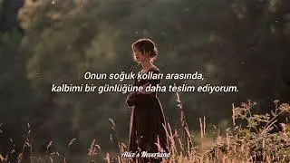 Last Leaves of Autumn - T&uuml;rk&ccedil;e &Ccedil;eviri (Zleepyfred)