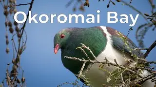 Okoromai Bay