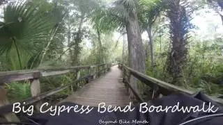 Big Cypress Bend Boardwalk