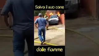 Cane salvato dal suo padrone dall'incendio