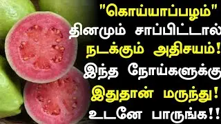 கொய்யாப்பழம் மருத்துவ அதிர்ச்சி! | Guava Fruit Health Benefits in Tamil| Guava Health Tips in Tamil