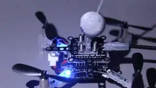 AE 483: A Flying Inverted Pendulum