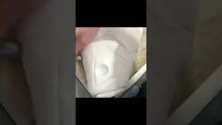 Fish cake tutorial! Barramundi