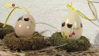 Bunt verziert und kreativ - 35. Haigerlocher Ostereier-Ausstellung