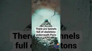 Creepiest Scary Facts to Spook Your Friends 2023 !!! Alert