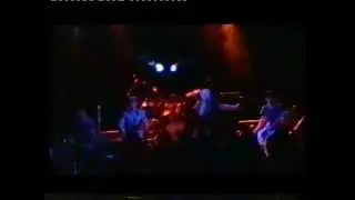 Fibrestream. jizz KO's rich