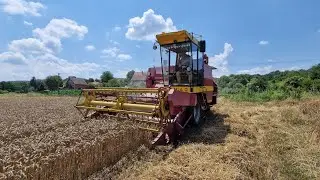 žetva pšenice 2024 zmaj 135