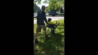 A Cut Above - Landscaping Careers