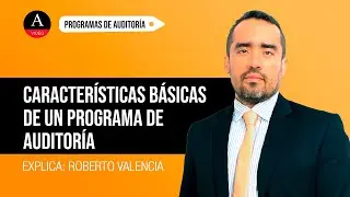 Caracter&iacute;sticas b&aacute;sicas de un programa de auditor&iacute;a