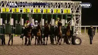 Above battles on grimly to win the Betsi Handicap!