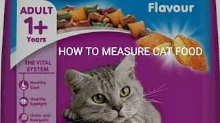 Cat food Whiskas ocean fish review | How to measure Cat food