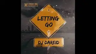 LETTING GO - DJ DAREID (OFFICIAL AUDIO)
