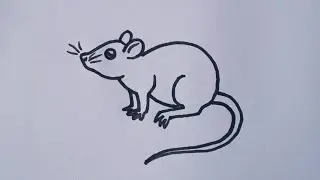How to draw Rat // Rat easy drawing step by step