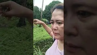 aftermath of typhoon opong #millionviews #opongph #viralvideo #trendingvideo 