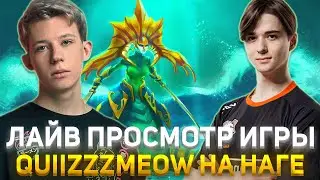Koma учит Quiizzzmeow правильно играть на Наге!