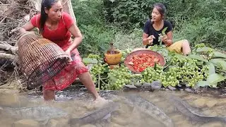 Survival skills: Catch big fish in river, Cooking fish with Mango chili sauce, Natural sour fruit