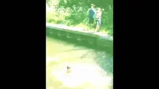 Flips and Jumps at Beeleigh