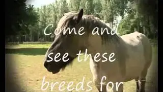 levend erfgoed-Rare breeds.wmv
