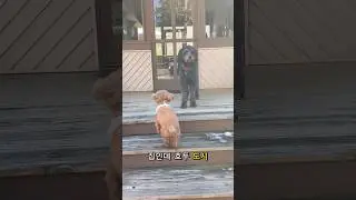 미국 부모님 집 가자 🇺🇸🏠 #외국인 #본가 #미국