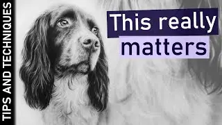 This is so important when drawing realistic fur | Spaniel drawing in graphite