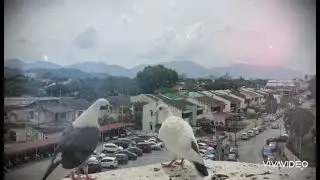View from the window  at Pantai Hospital Ipoh Perak  Malaysia