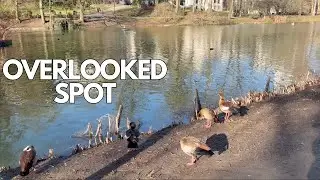 Secret Spot in Brussels: Leopold Park