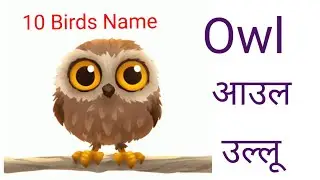 पक्षियों के नाम। बर्ड्स नेम Name of Birds। Birds Name । pakshiyon ke naam । Birds Name Hindi/English