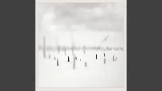 In A Place Of Such Graceful Shapes