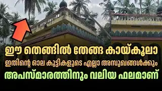 മടപ്പള്ളി യാറം വലിയോറ|Vlog-565 #alziyarah #madappalli_yaram