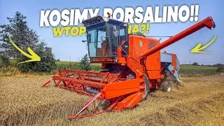 Czas na Borsalino!🌾Za Sterami Biozona!🔥NIEMENÓWKA#61