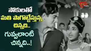 Vanisri and Krishna Chemistry | Guvvalanti Chinnadi Song | Lakshmi Nivasam Movie | Old Telugu Songs