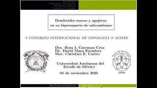 Dendroides suaves y agujeros en su hiperespacio de subcontinuos