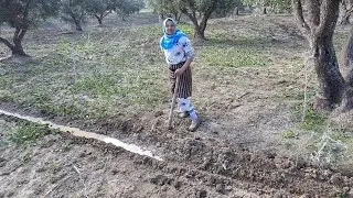 شفوا هذ الإنسان كتضرب التمارة على ولدتها