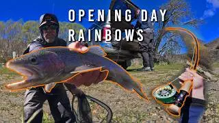 Hooked Up on Day One! New Zealand Trout Fishing Opener